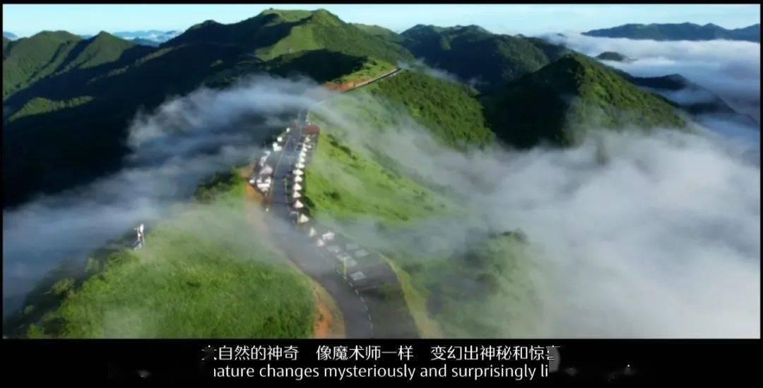 奥森弗里